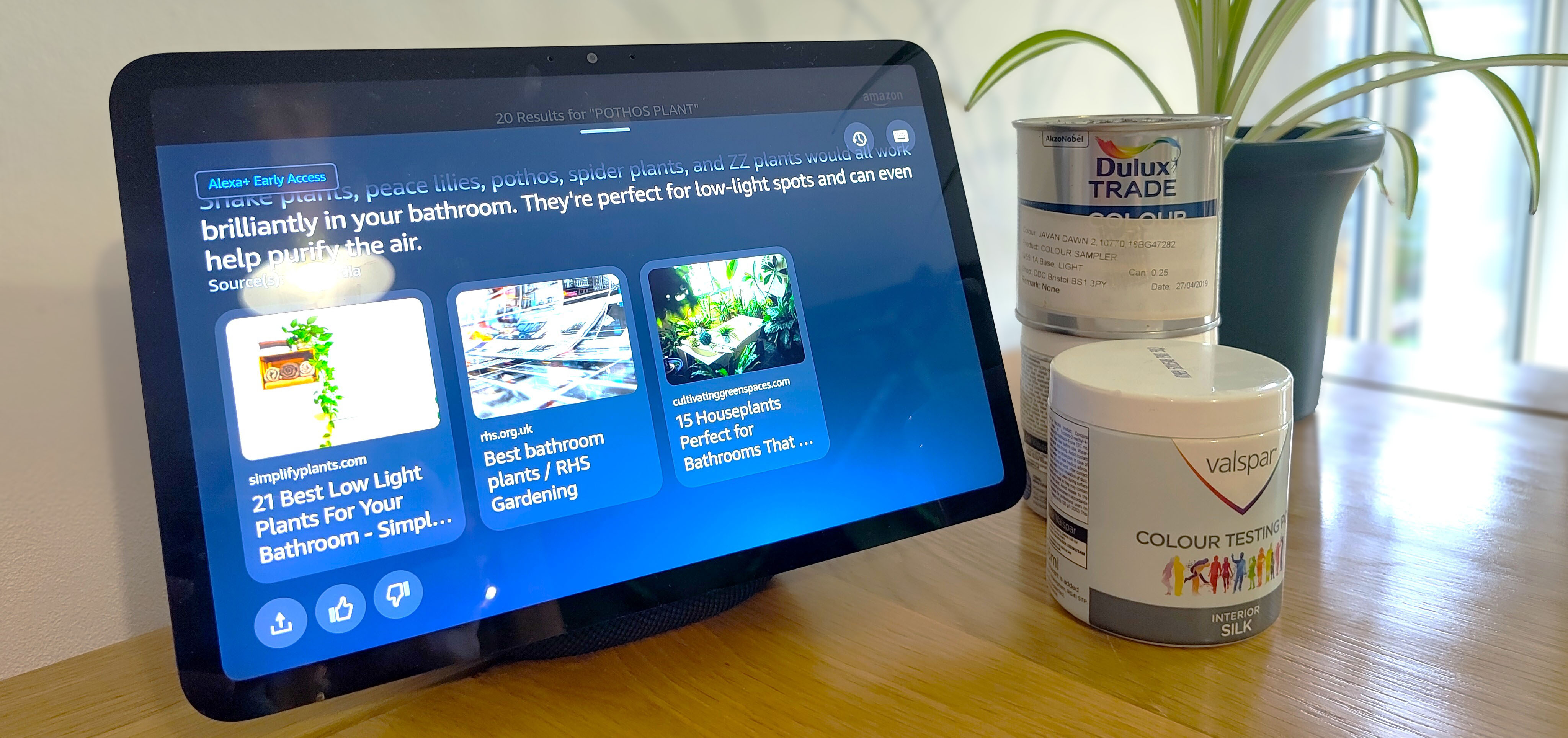 Amazon Echo Show smart display on a table with paint pots and a spider plant