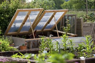 greenhouse gardening cold frame