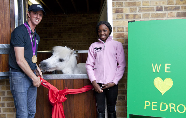 Miniature pony can now see over his door without his 5ft perisco