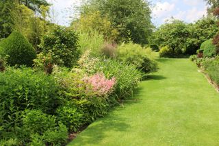 lawn ideas: border with mown path