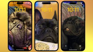 Photo Shuffle iOS 17 dogs how to
