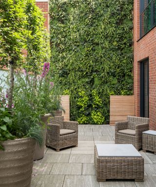 A patio area with rattan chairs in front of a green living wall