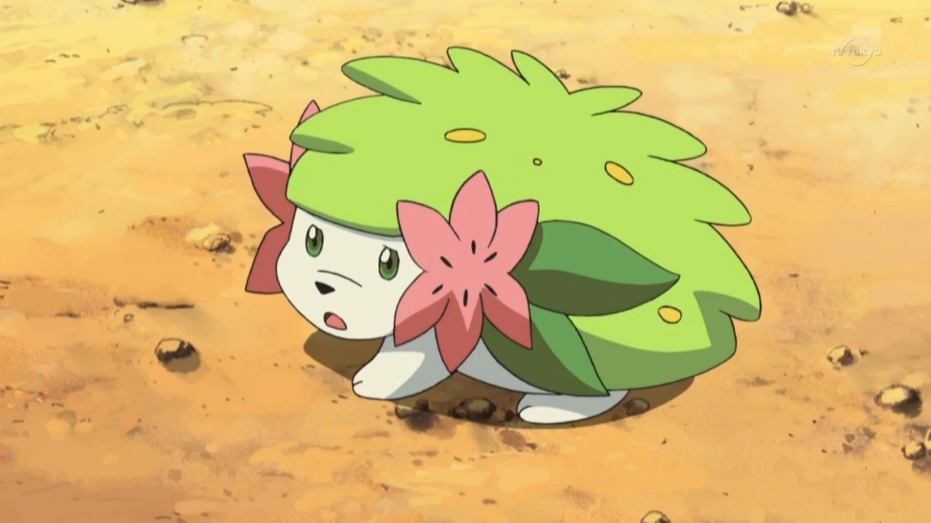 SHAYMIN CONFIRMED for POKEMON LEGENDS ARCEUS! #pokemon #pokemon25 #pok