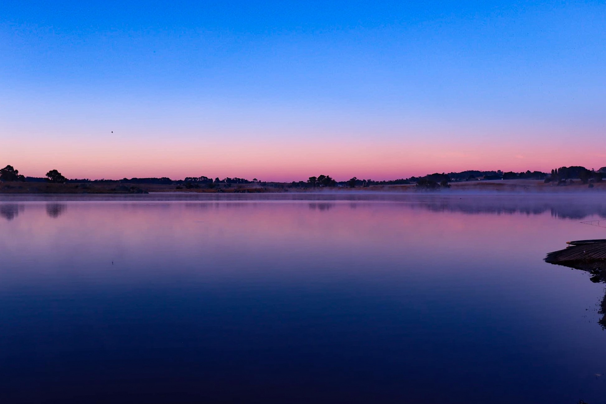 GuruShots - Nature March 2026