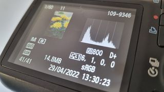 The display on the back of a DSLR showing the histogram