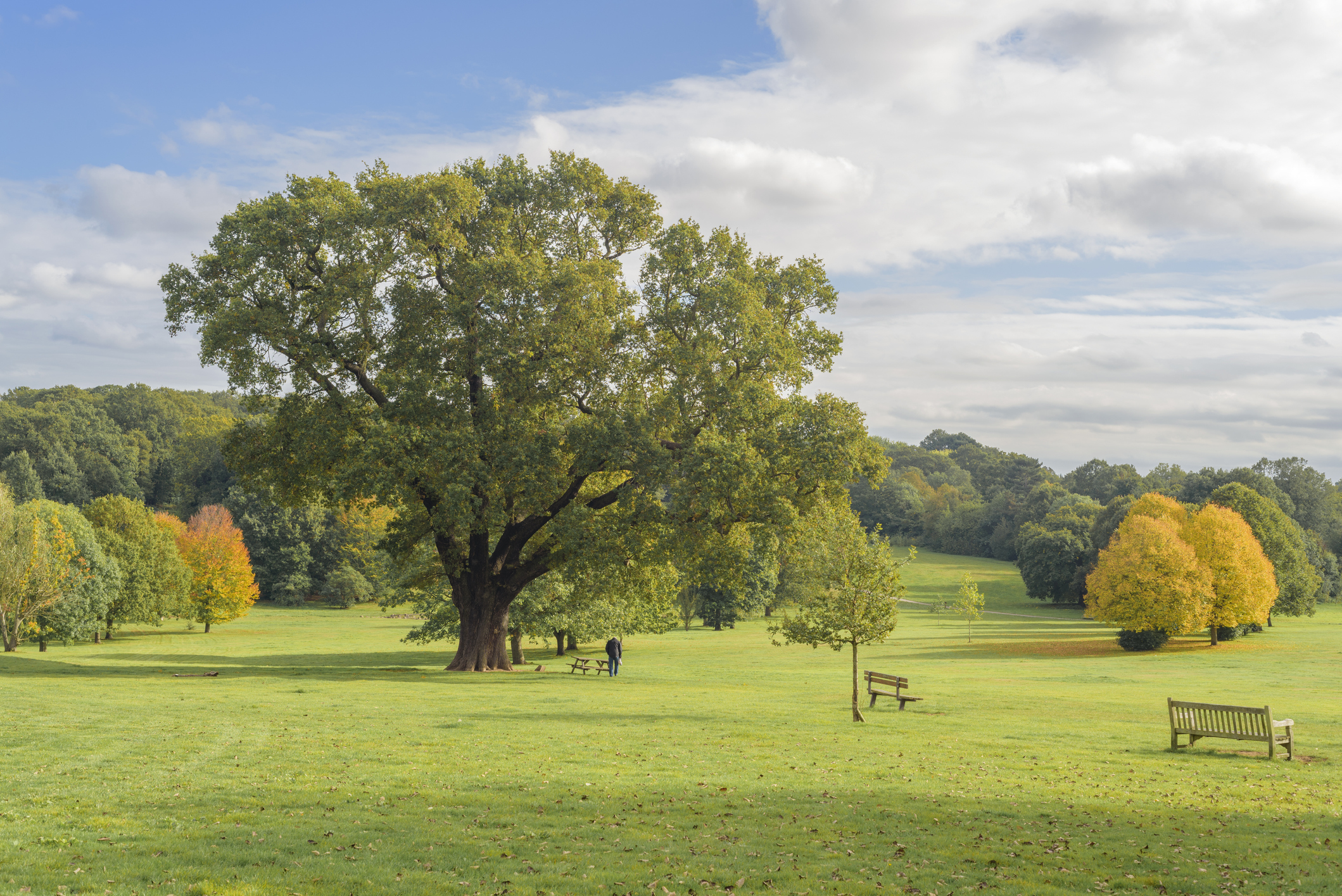 Beckenham Place Park