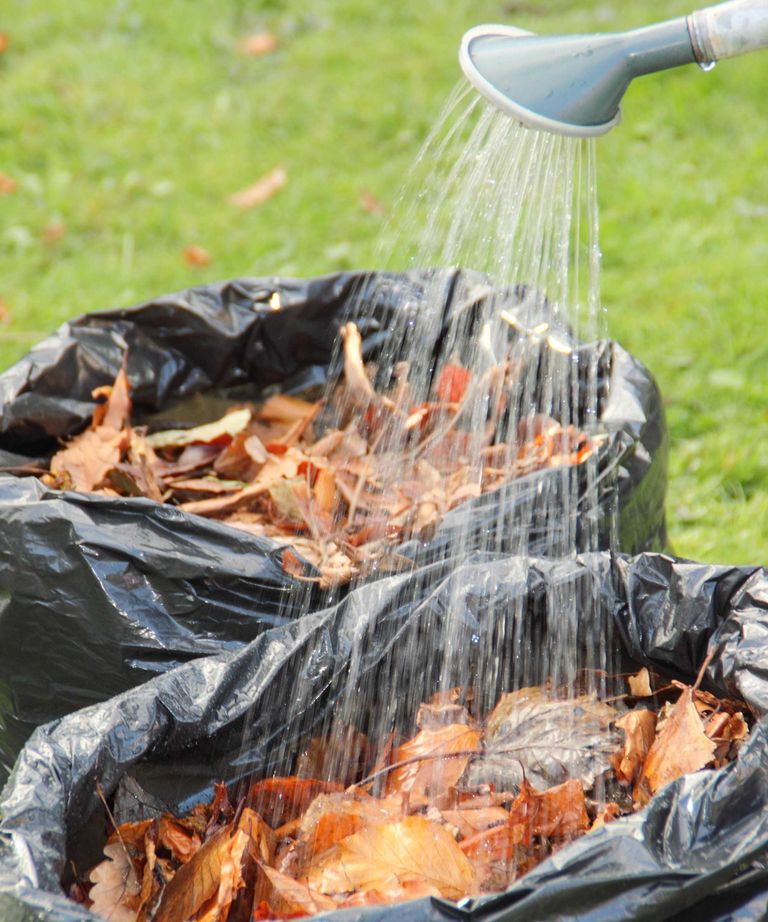 How To Make Leaf Mould: Top Tips For Turning Autumn Leaves Into A ...