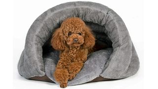 types of dog beds