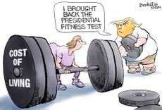 Political Cartoon