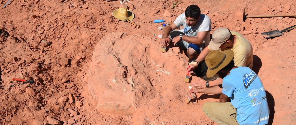 Macrocollum itaquii excavation