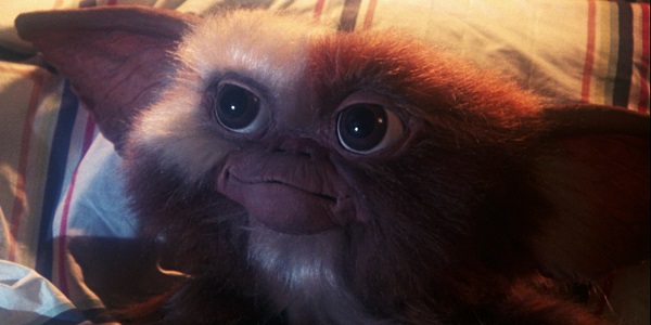 Gizmo Gremlins