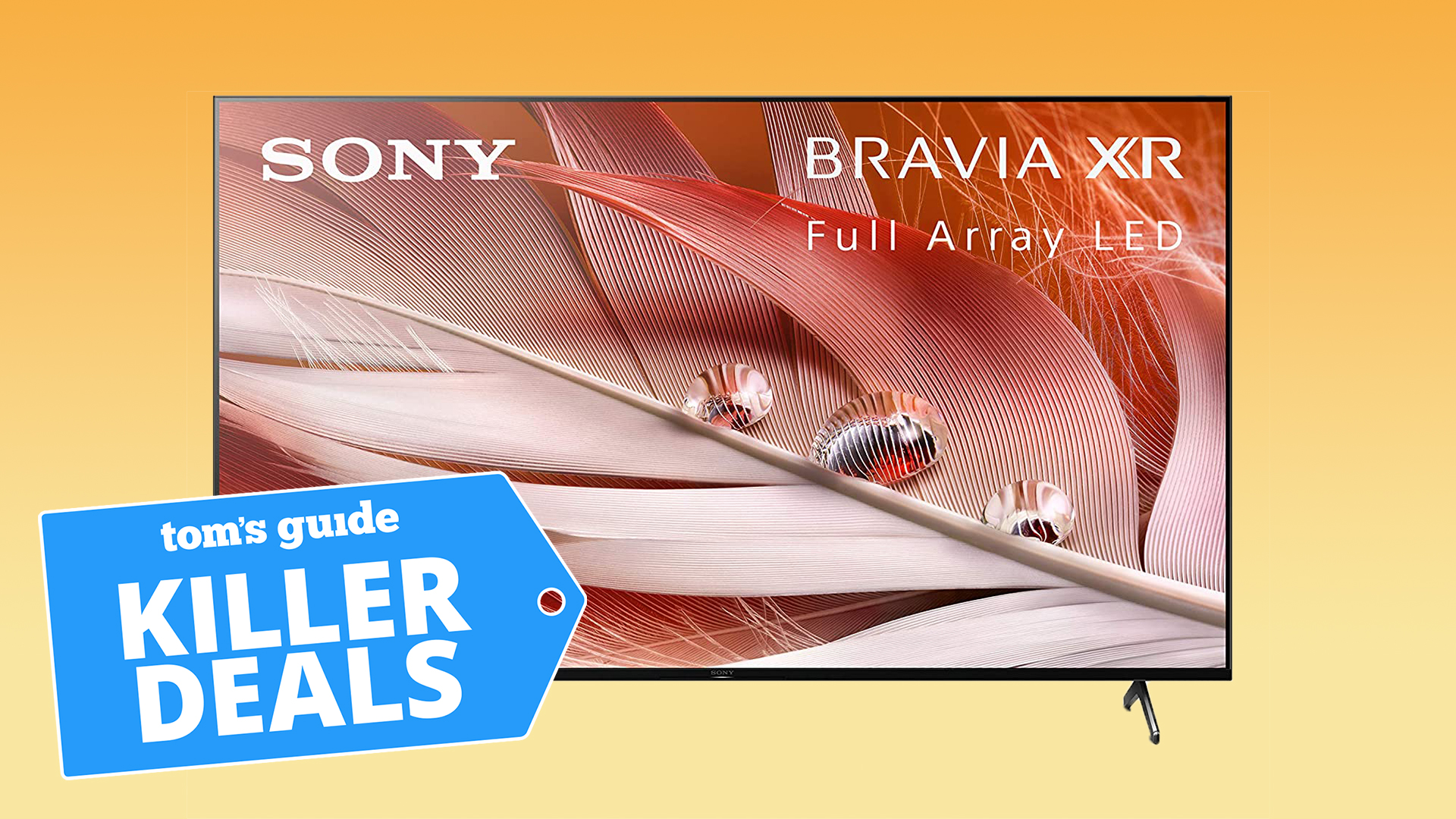 Sony Bravia X90J