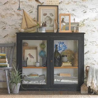 glass display cabinet filled with coastal stuff