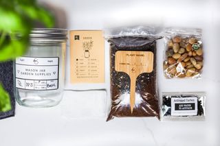 Seeds, coconut coir, a mason jar, and other pieces of a Coco & Seed kit