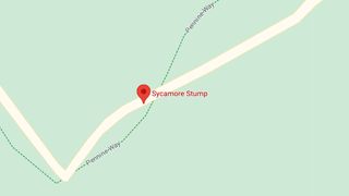 A Google Map pin showing the location of Sycamore Stump
