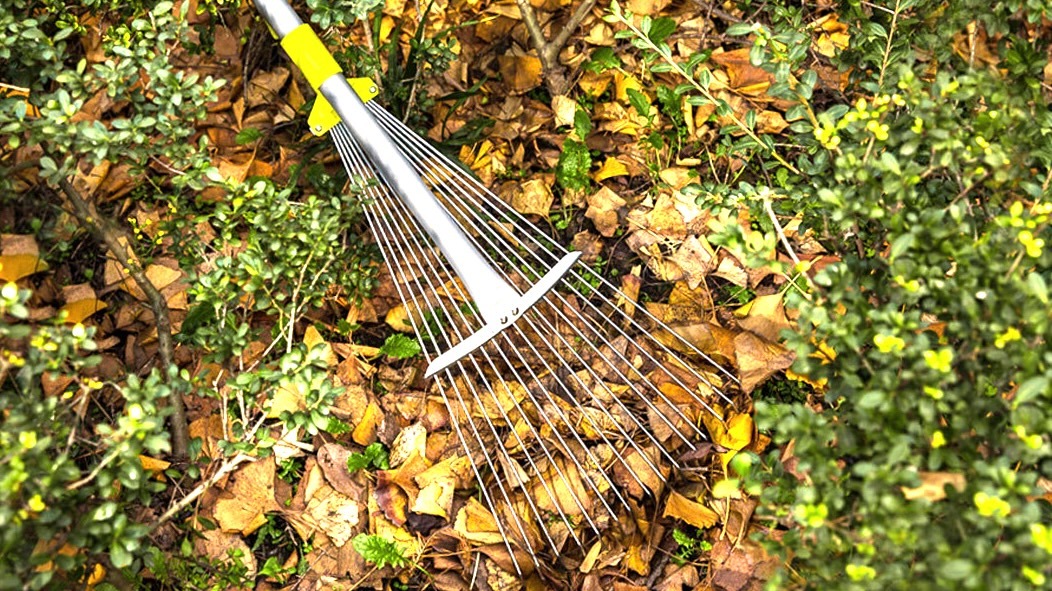 Jardineer adjustable rake