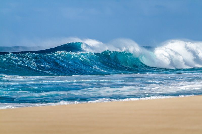 A large beach wave.