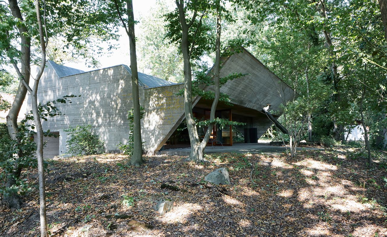 House in forest