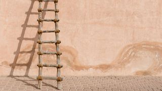 An old homemade ladder leans against a blush coloured wall