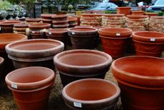 Large Terracotta Planters