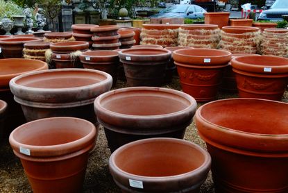 Large Terracotta Planters