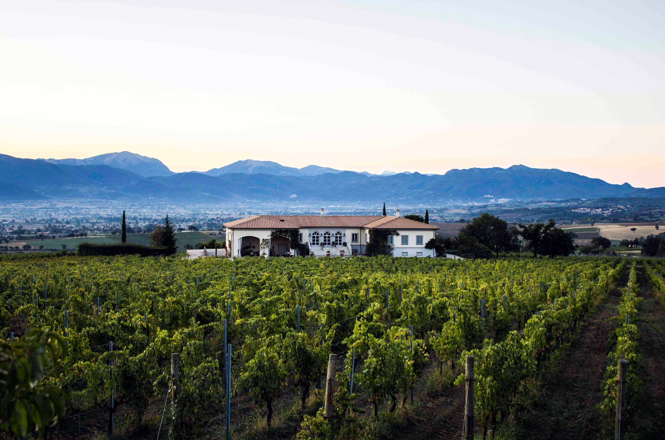 Lungarotti-Copia-di-montefalco_cantina