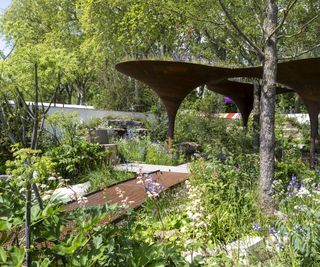 The WaterAid show garden at 2024 Chelsea Flower Show