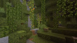 Biome des grottes luxuriantes de Minecraft