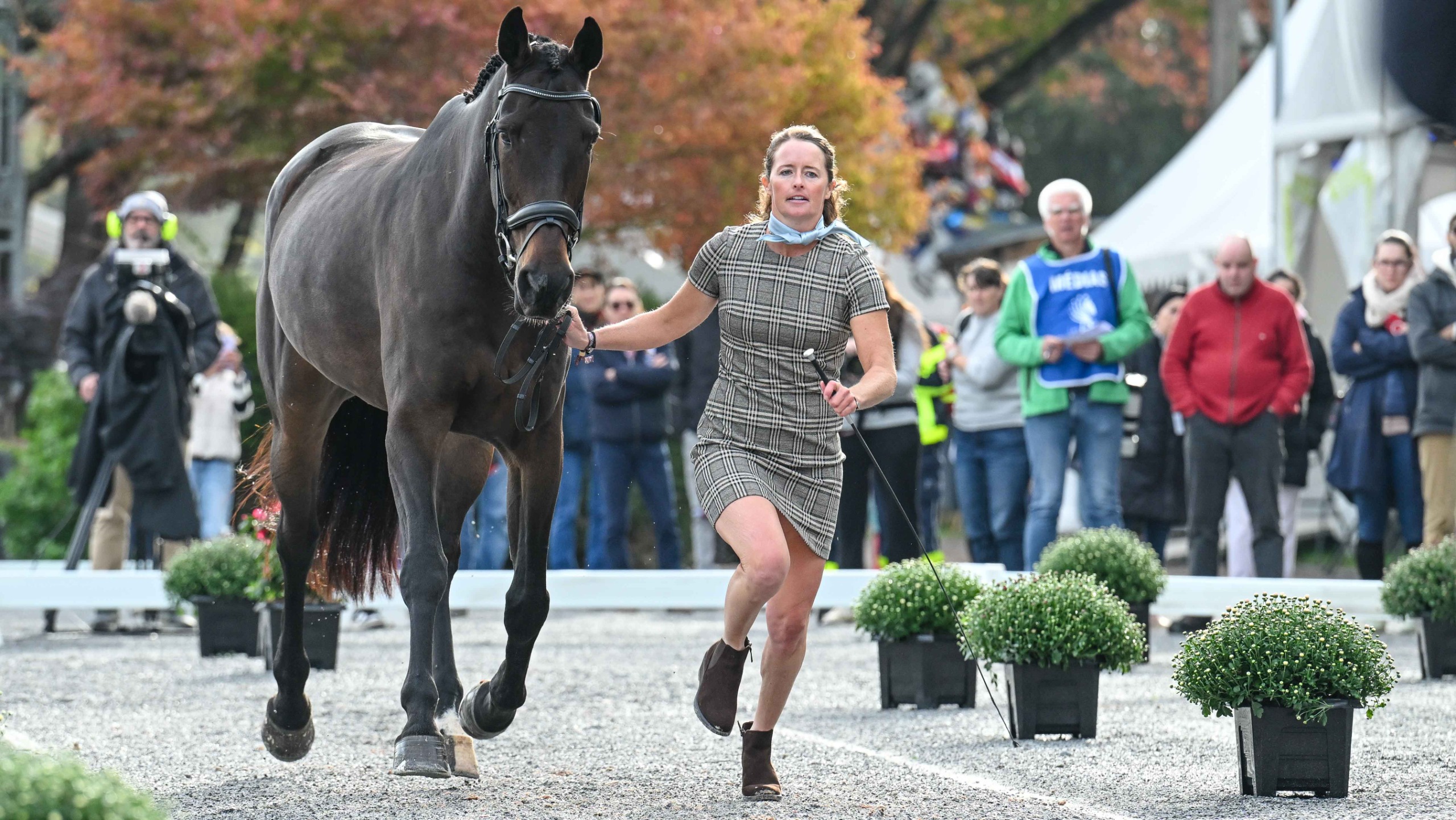 Pau Horse Trials trot-up first horse inspection