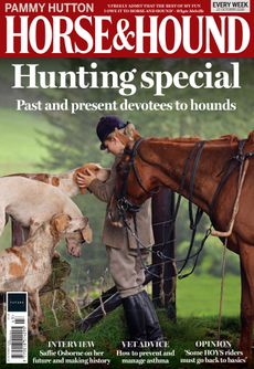 Beth Wright, hunt groom at the South Devon., stood with a chestnut horse at her shoulder fussing a hound on the front cover of Horse & Hound magazine, 15 October 2026 issue