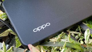 Ein Oppo Smartphone liegt im Gras