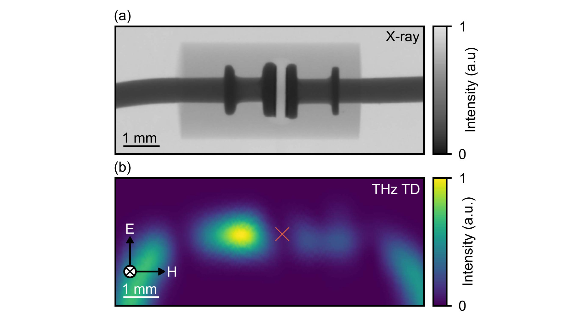An image from an Adelaide University research paper, comparing an x-ray image of a diode against one generated by using terahertz waves