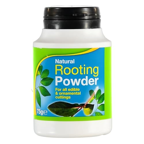 Rooting Powder 75g &amp;ndash; Natural Rooting for Plant Cuttings &amp;ndash; Promotes Fast Root Growth for Plants, Flowers &amp;amp; Shrubs &amp;ndash; Propagation Powder