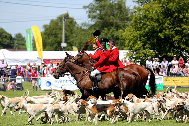 South of England Show
