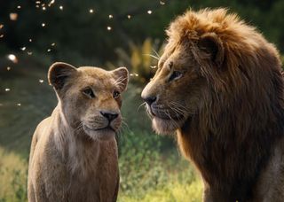 Lion King CGI: adult lions