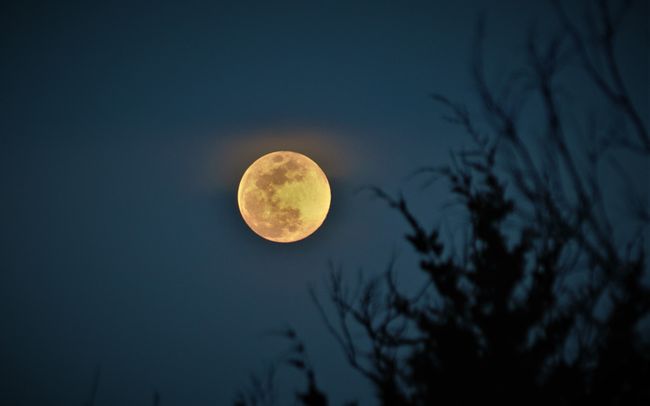 In Photos: The Last 'Blue Moon' of 2018 | Space