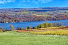 Seneca Lake, the largest and deepest of the glacial Finger Lakes, has the highest concentration of wineries and vineyards in the region.