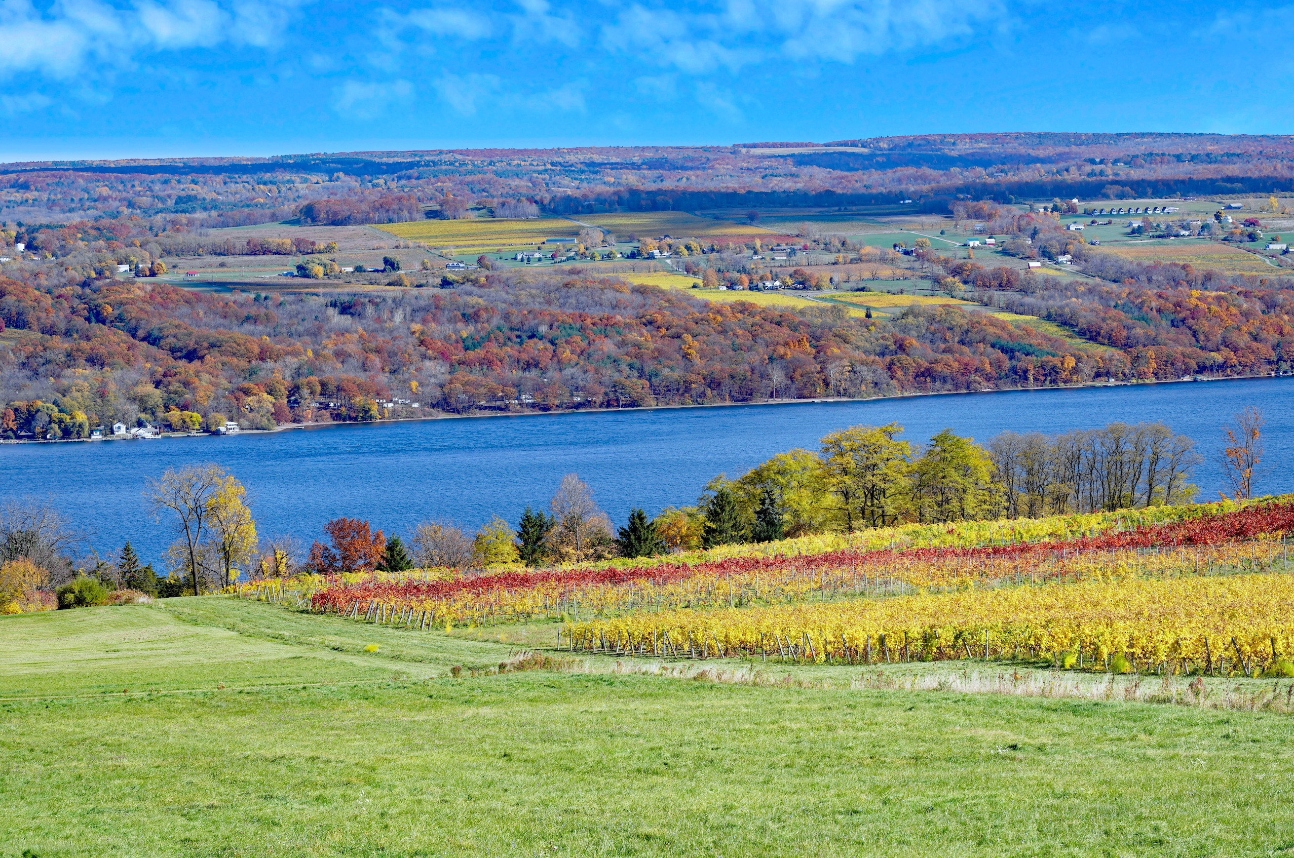 Seneca Lake, the largest and deepest of the glacial Finger Lakes, in the fall, with the tree and grapevine foliage changing colors