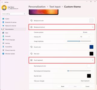 Text input custom settings