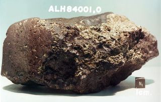 The famed Mars meteorite ALH84001.