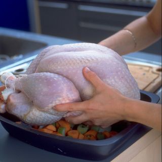 turkey with vegetables and tray