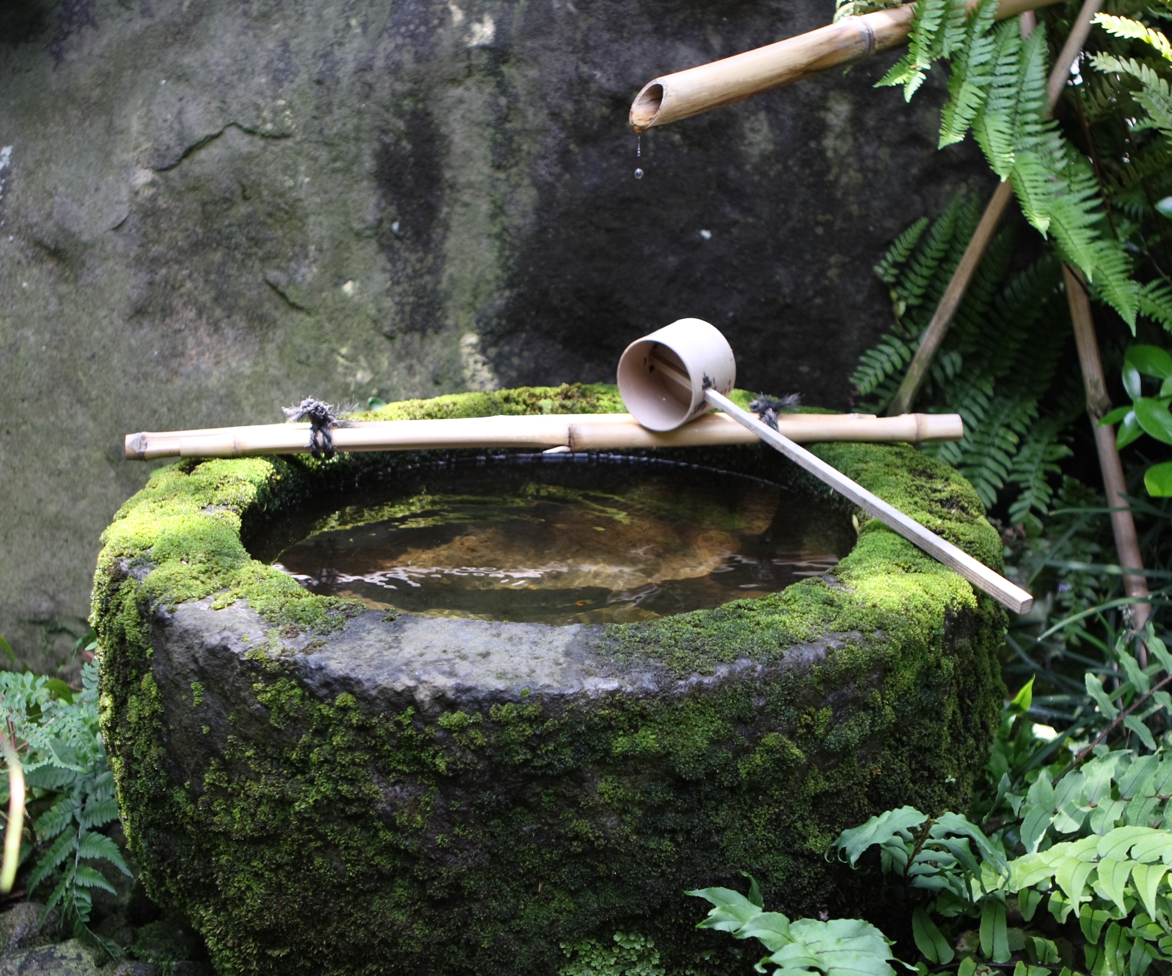 stone basin, zen, Japanese garden