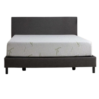 3. Tulo Bamboo 10" Medium Plush Green Tea Memory Foam Mattress:from $569.99$215.99 at Mattress Firm