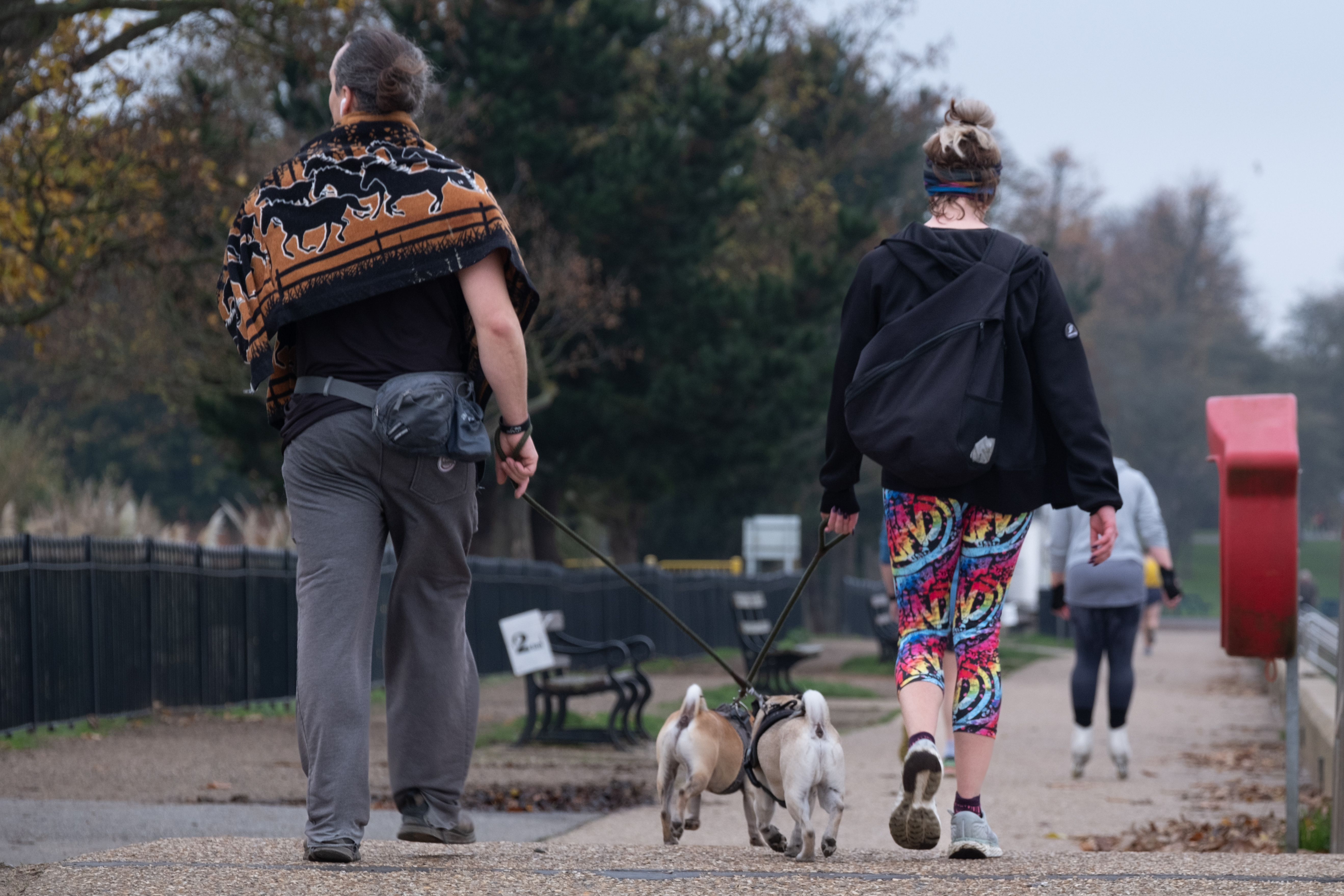 Two people walking down a path with their dogs