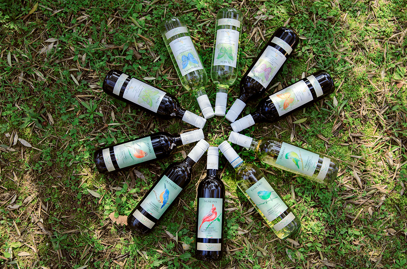 Tinazzi wine bottles