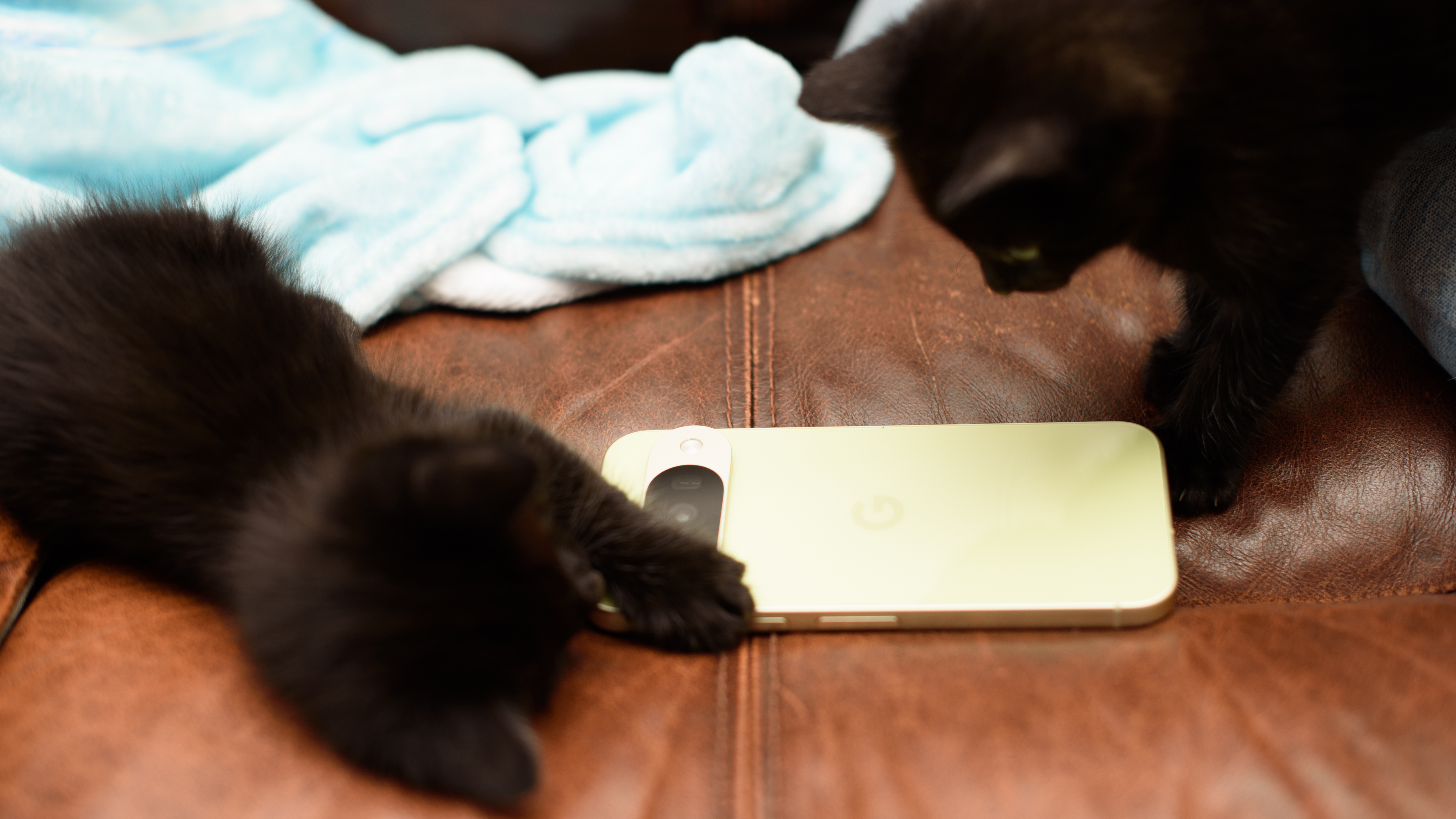 Two small 6 week old black kittens planning on and around a jade green Google Pixel 10 Pro phone, tapping the screen and clawing at the apps with their tiny murder claws