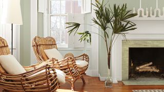 Sage green color of the year on living room walls with rattan chairs beside stone fireplace with large house plant