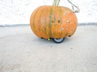 Autonomous Pumpkin Vehicle