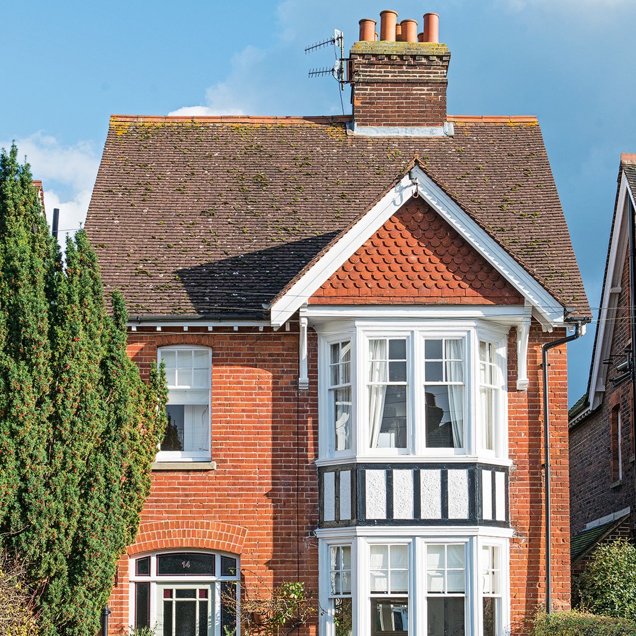 How to get squirrels out of the loft Ideal Home