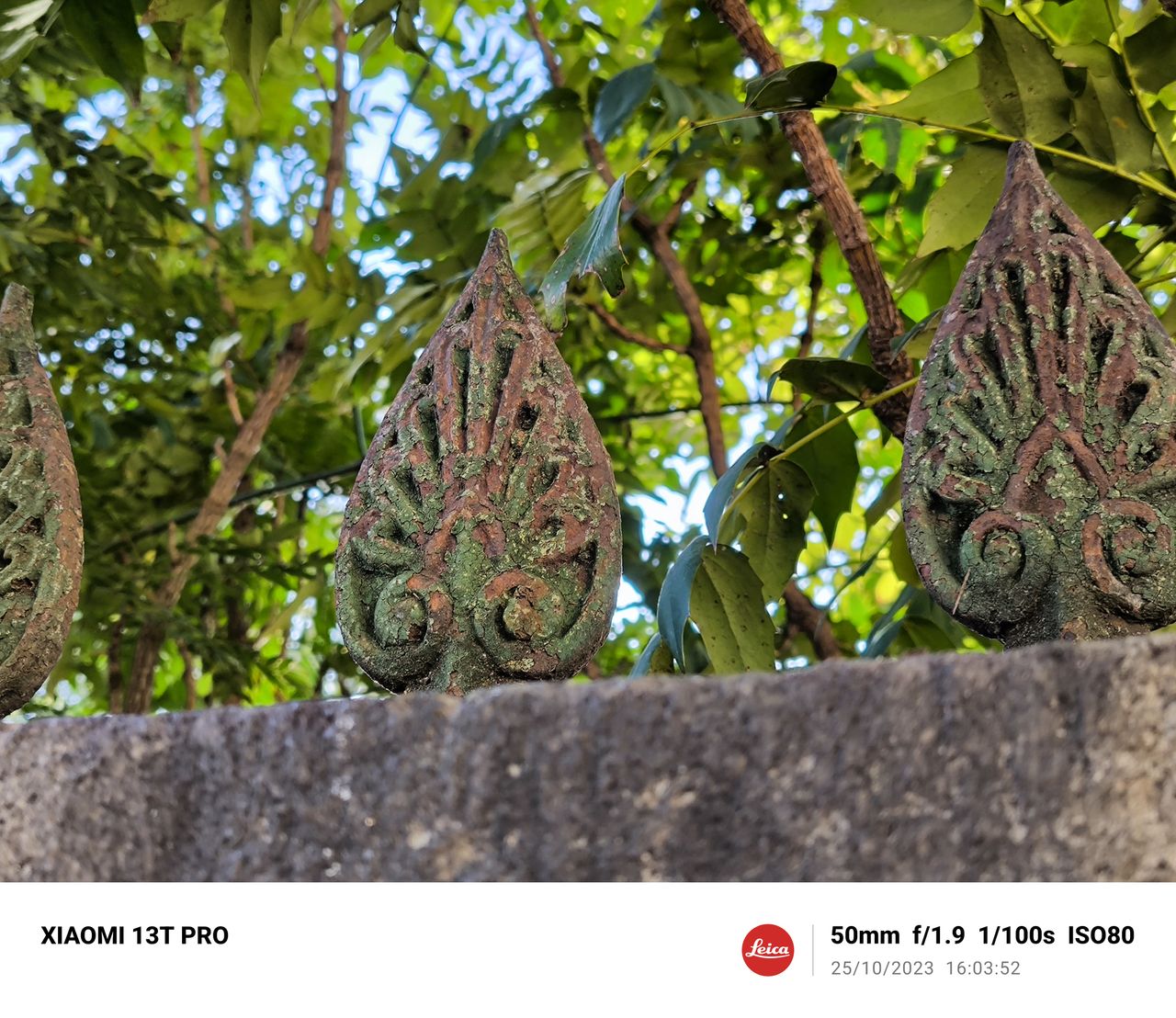 A photo taken on the Xiaomi 13T Pro